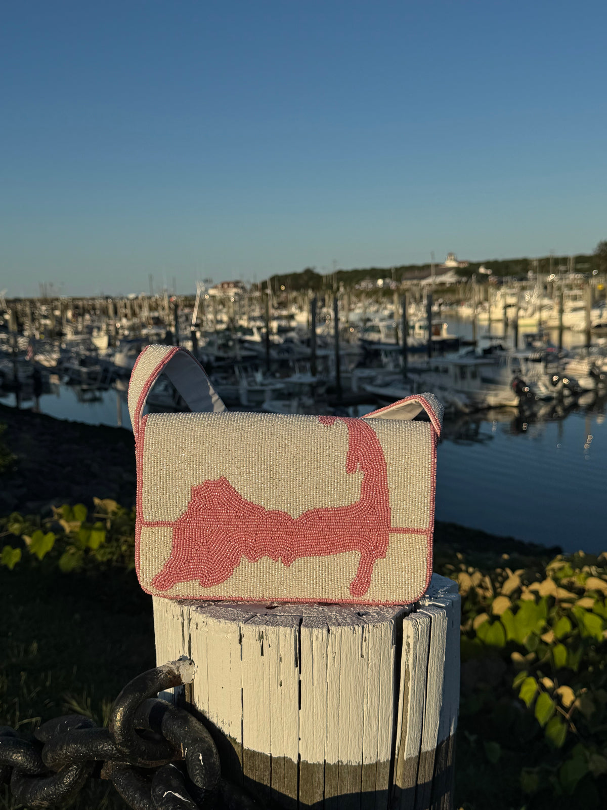 The Pink Cape Cod Bag 🎀